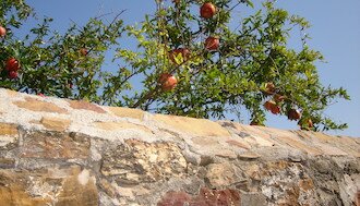 DSC00473_Chios_Prinos_Reizen